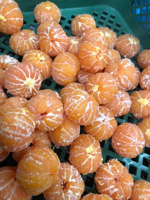 Dried Unshu mandarin fruit